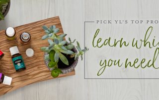 bottles of essential oil on a wooden board with plants