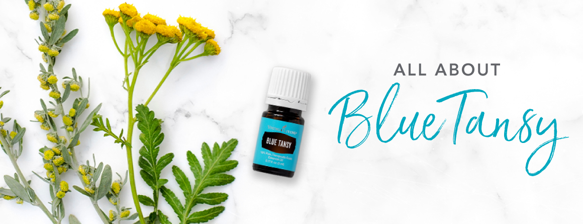 Blue Tansy Oil for Hair: 5 Ways to Incorporate it into Your Hair Care Routine - wide 7