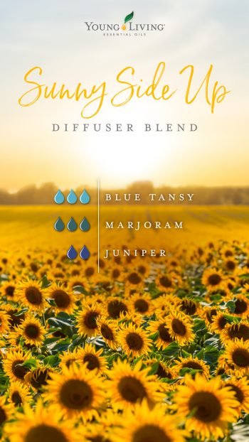 Sunny Side Up diffuser blend 3 drops Blue Tansy 3 drops Marjoram 2 drops Juniper 