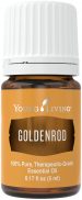 Goldenrod essential oil