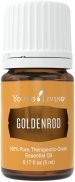 Goldenrod essential oil