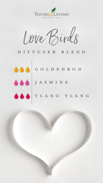 Love birds diffuser blend, goldenrod, jasmine and ylang ylang