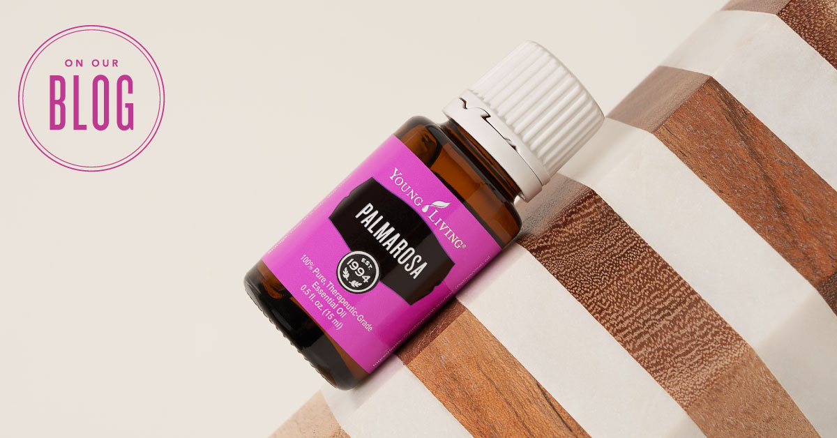 Palmarosa Essential Oil Benefits Young Living Essential Oils