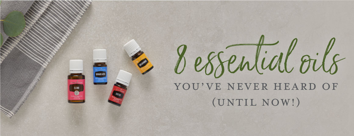 The Lavender Life, Young Living Essential Oils Blog