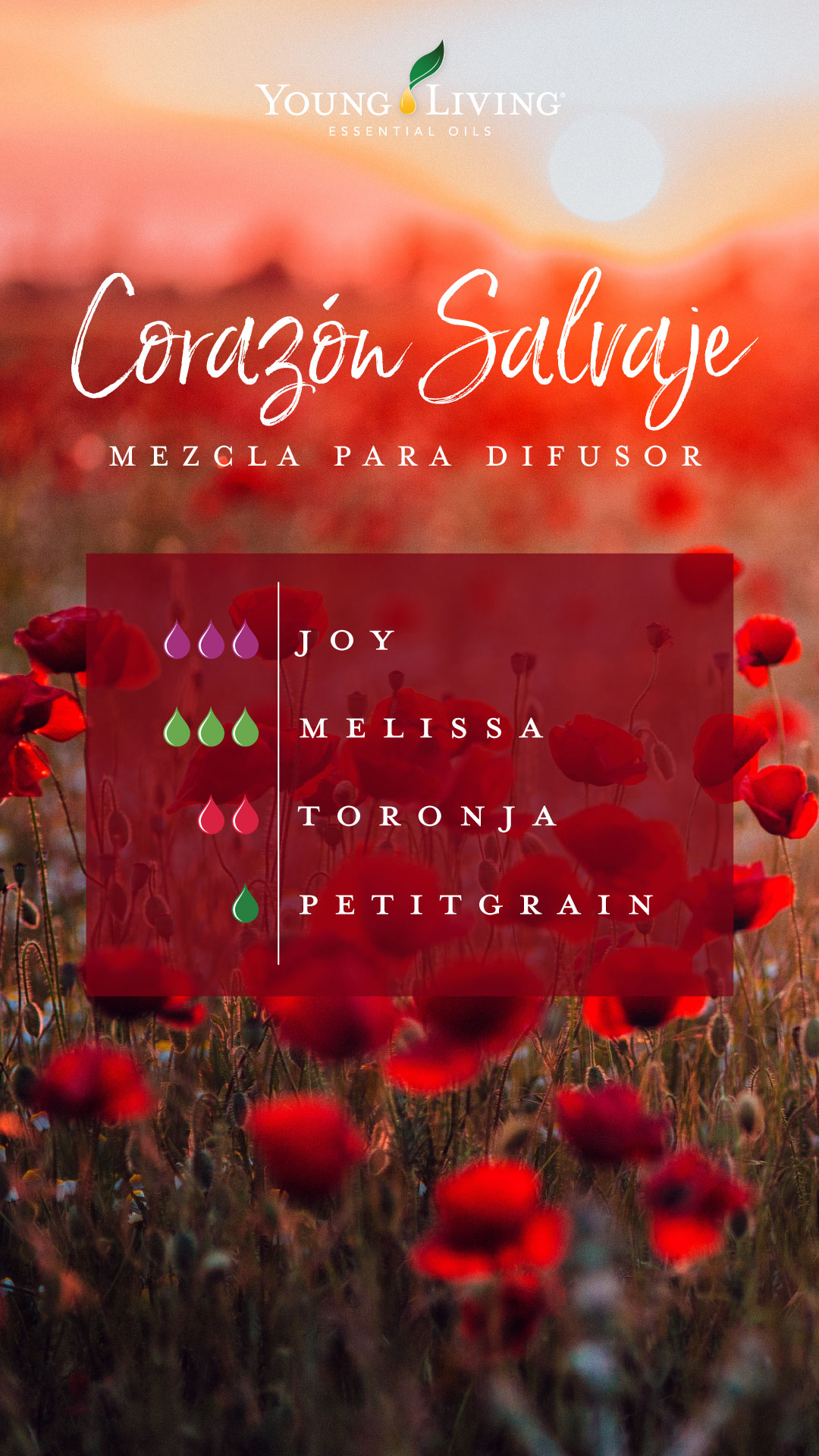 blog-Romance-in-the-air–5-blends-you-have-to-try_Wild-at-Heart-Micrographic_USSP