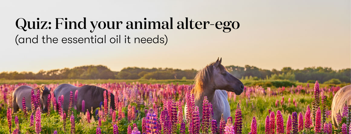 Quiz: Find your animal alter ego (and the essential oil it needs) - Young Living Lavender Life Blog