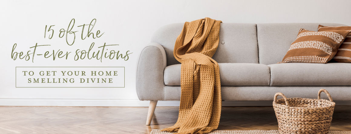 Grey couch with a camel brown blanket on wood flooring