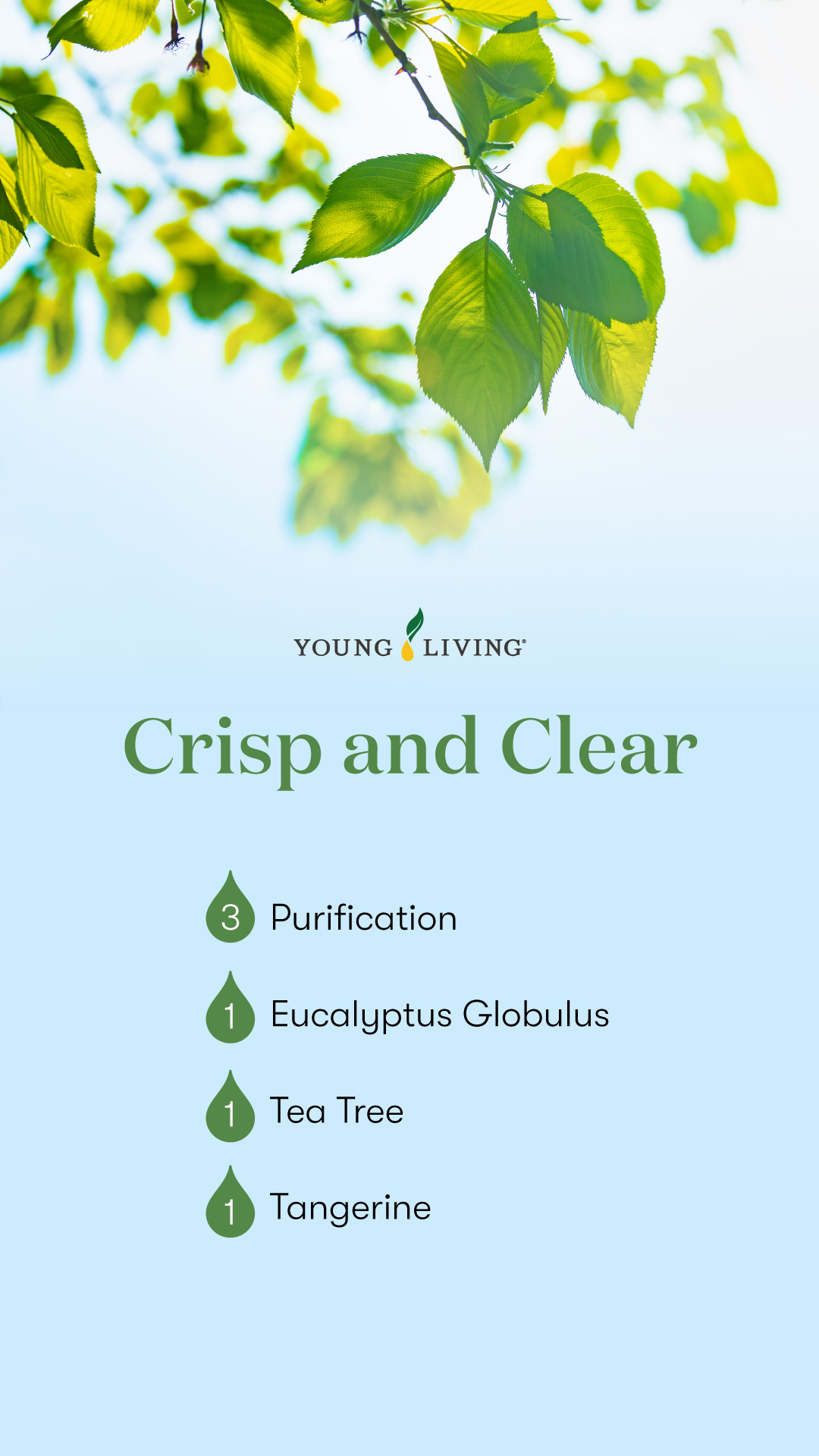 Crisp and Clear Spring Diffuser Blend