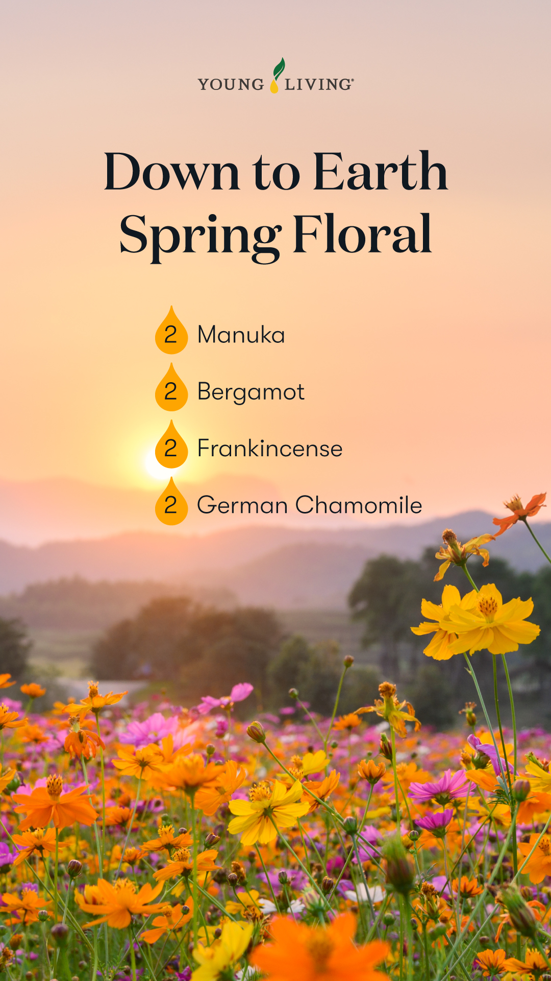 Down to Earth Spring Floral - Mezclas para difusores de primavera