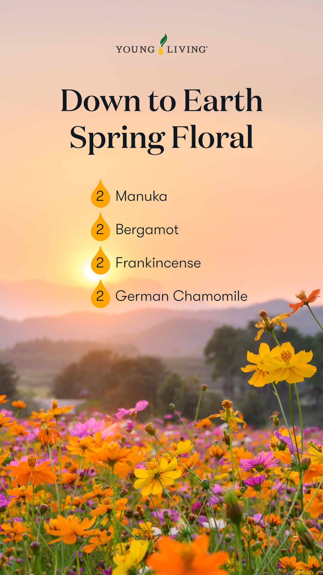 7 Spring Essential Oil Diffuser Blends