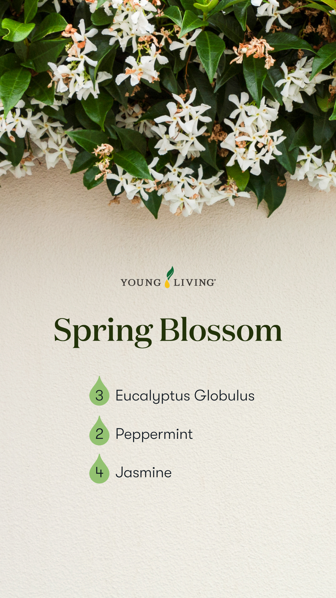 Spring Blossom - Mezcla difusora de primavera