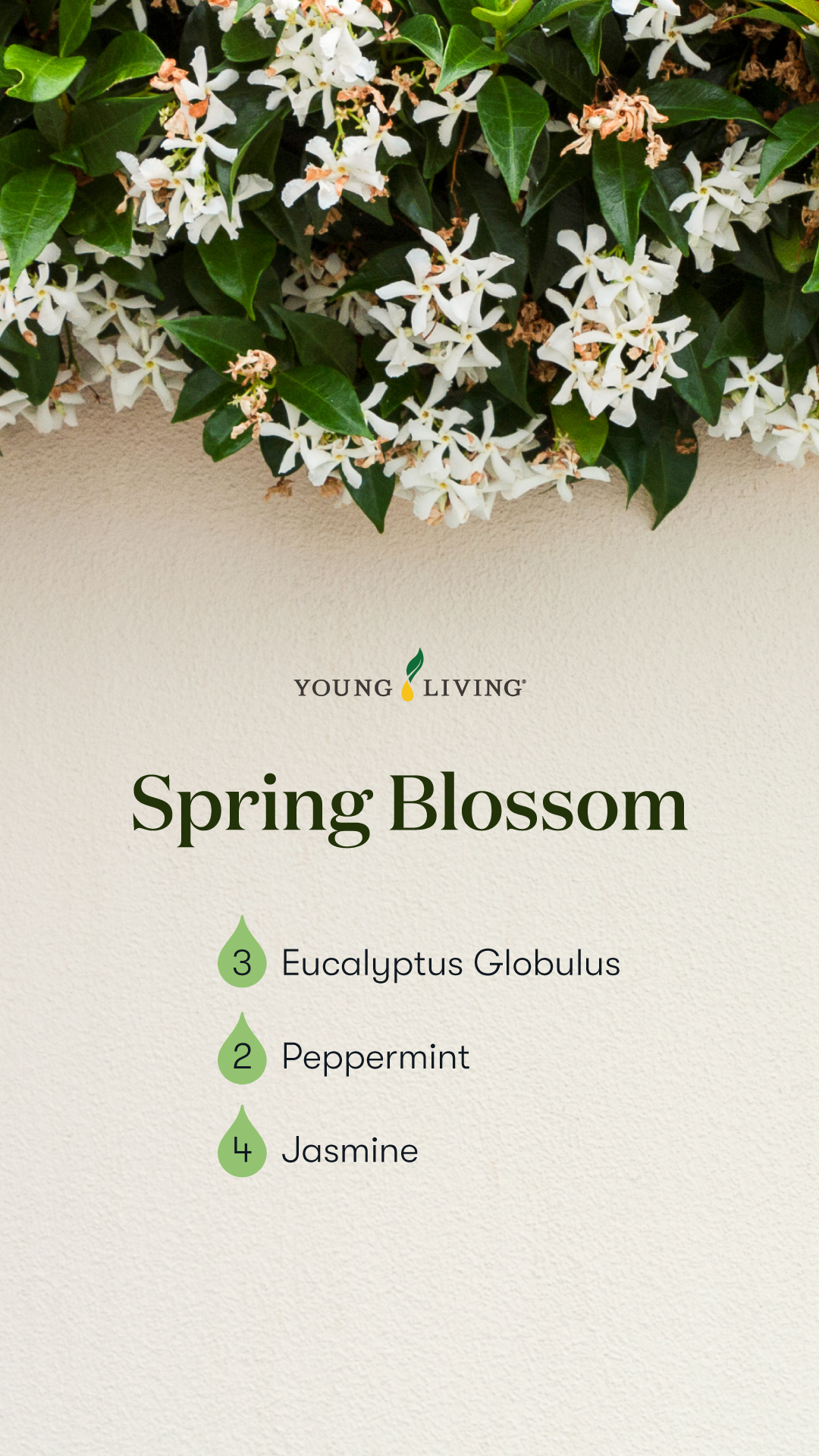 Spring Blossom - Spring Diffuser blend