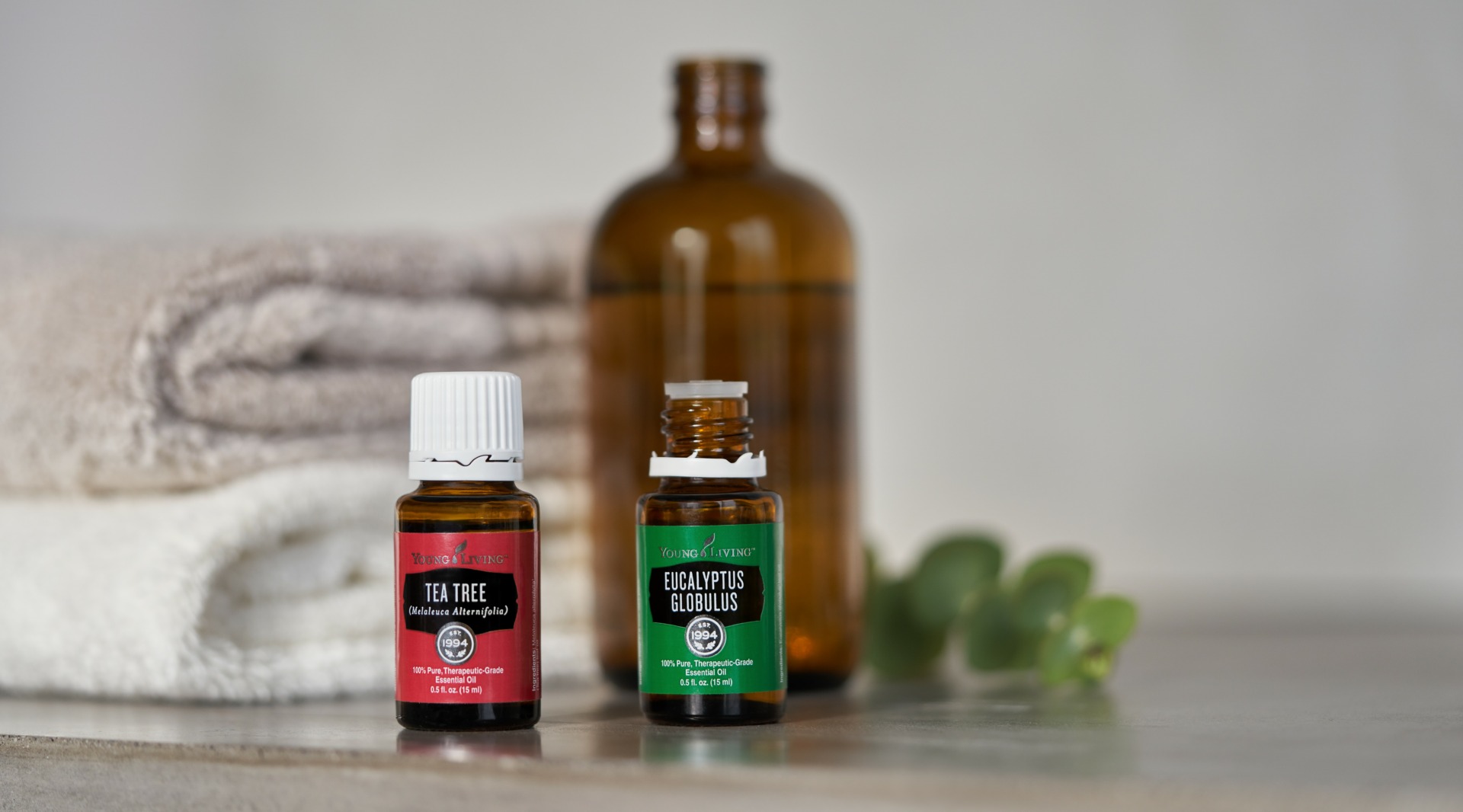 eucalyptusglobulus teatree Tea Tree and Eucalyptus Globulus essential oils in the bathroom