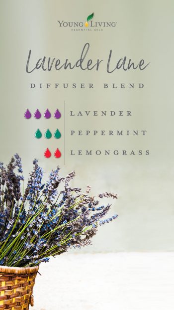 4 drops Lavender 3 drops Peppermint 2 drops Lemongrass