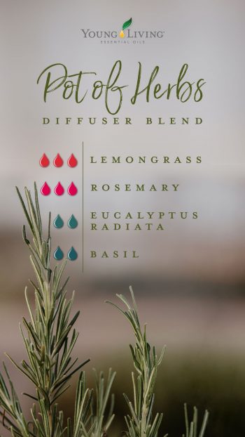 Lemongrass shop diffuser blends