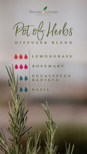 3 drops Lemongrass 3 drops Rosemary 2 drops Eucalyptus Radiata 2 drops Basil