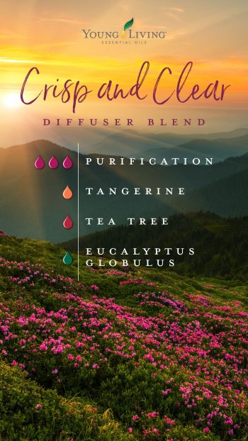 crisp and clear diffuser blend: 3 drops Purification, 1 drop tangerine, 1 drop tea tree, 1 drop eucalyptus