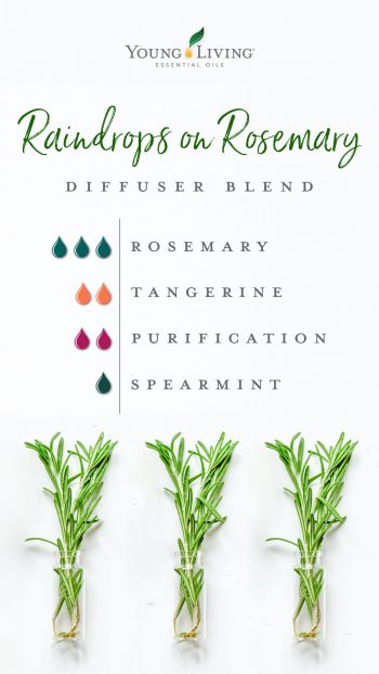 3 drops rosemary, 2 drops tangerine, 2 purification, 1 drop spearmint