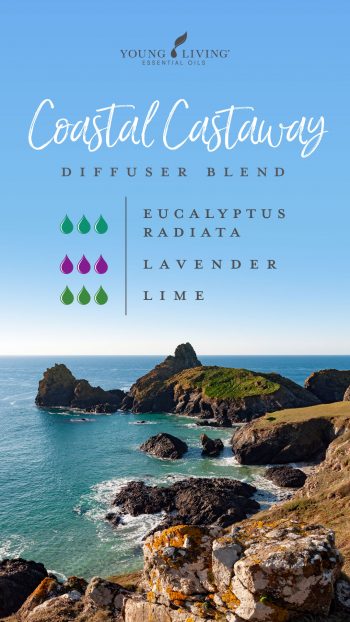 Lavender Diffuser Blends