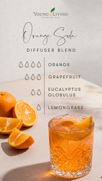 4 drops Orange 3 drops Grapefruit 2 drops Eucalyptus Globulus 1 drop Lemongrass