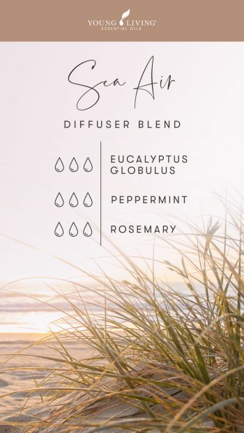 3 drops Eucalyptus Globulus 3 drops Peppermint 3 drops Rosemary