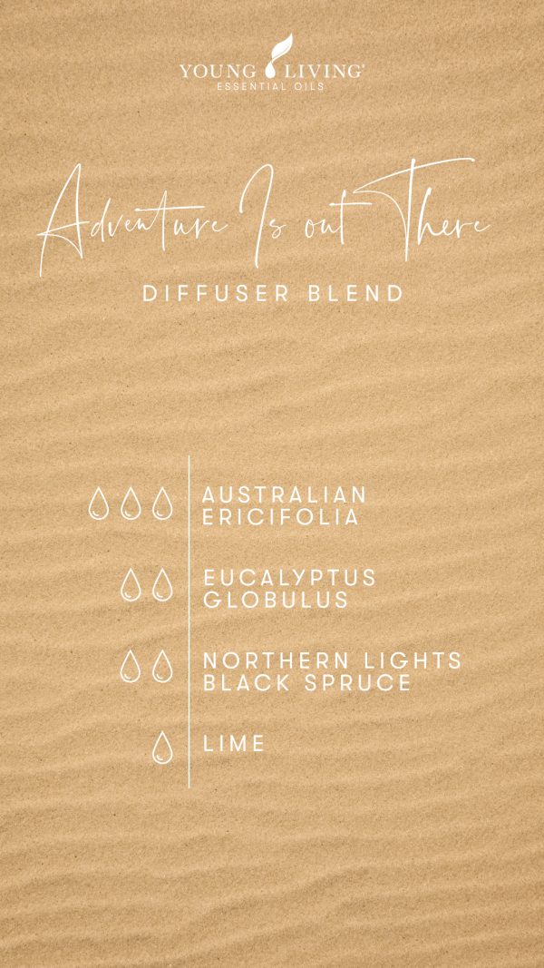 Adventure Is out There diffuser blend 3 drops Australian Ericifolia 2 drops Eucalyptus Globulus 2 drops Northern Lights Black Spruce 1 drop Lime