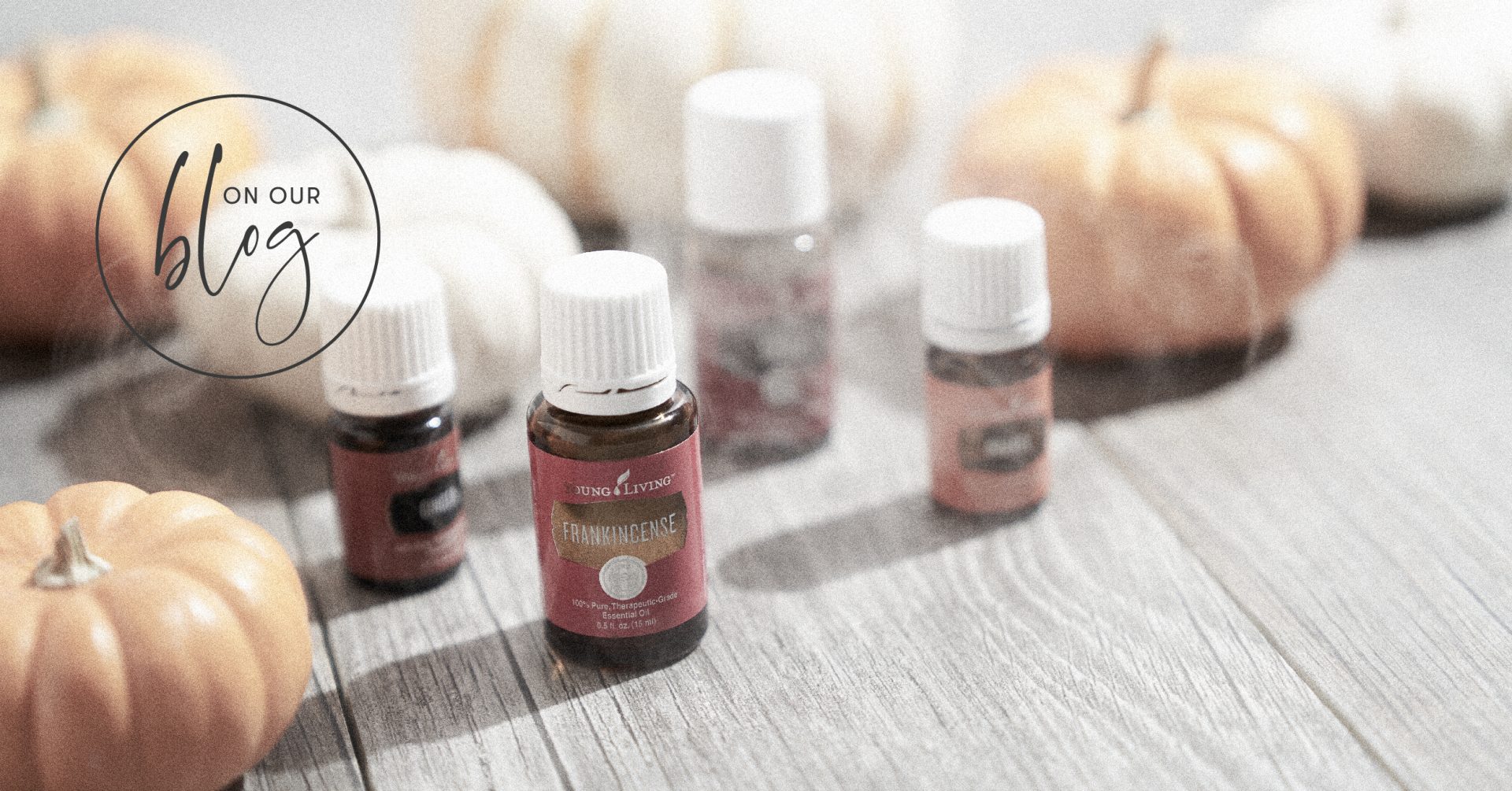 Happy Halloween Party with 7 spooktacular scents Young Living Blog