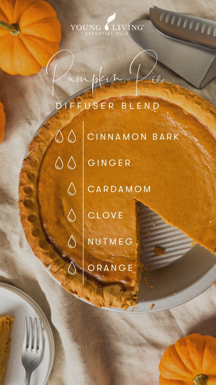 Pumpkin Pie diffuser blend