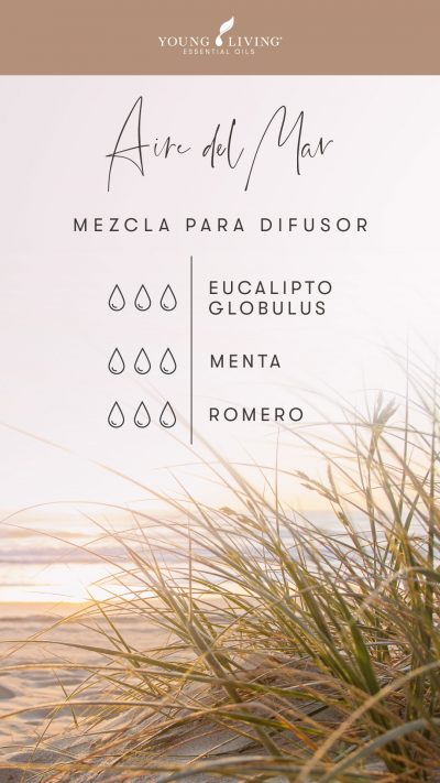 blog-Squeaky-clean-scents–7-diffuser-blends-to-fake-a-clean-house_Sea-Air-Diffuser-Blend_USSP