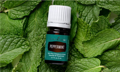 peppermint essential oil with actual peppermint