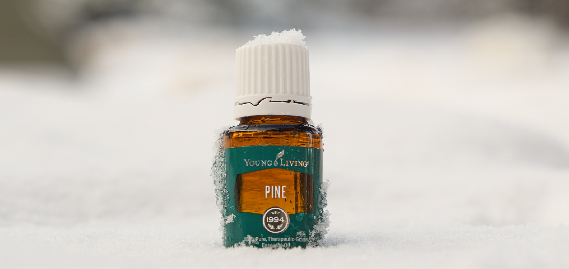 Pine Essential Oil Young Living Essential Oils