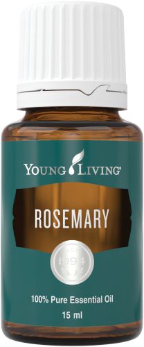 Young Living Ginger Essential Oil