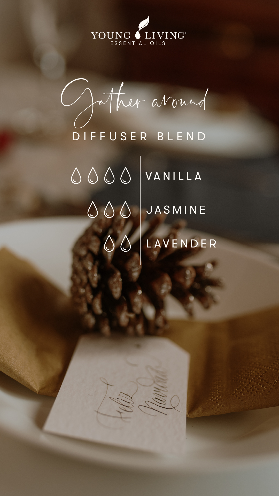 blog-Christmastime all the time 4 festive diffuser blends_Gather around-Diffuser Blend_US Young Living Holiday Diffuser Blend - Gather Round