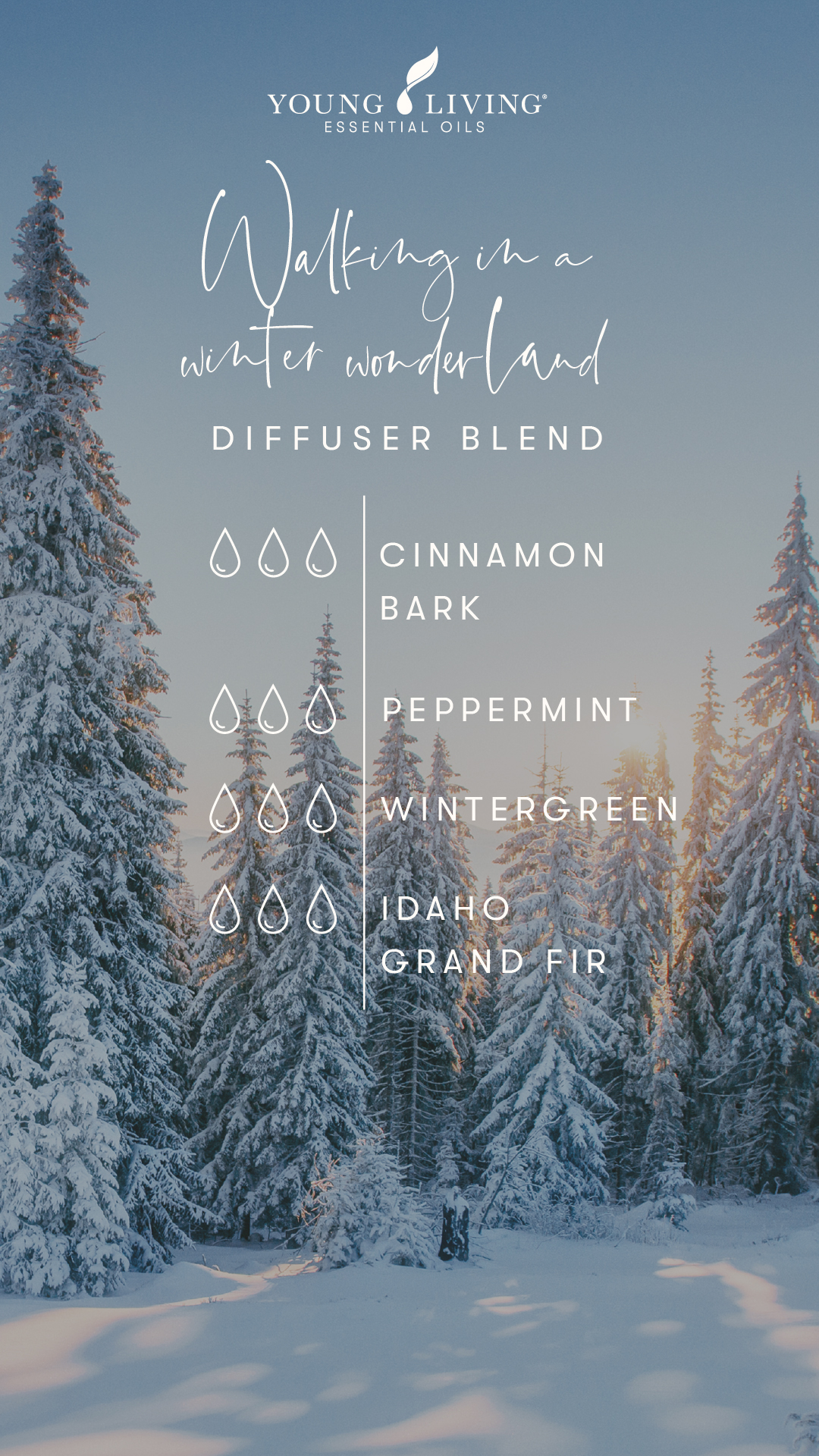 Winter Essential Oil Diffuser Blends with Recipes