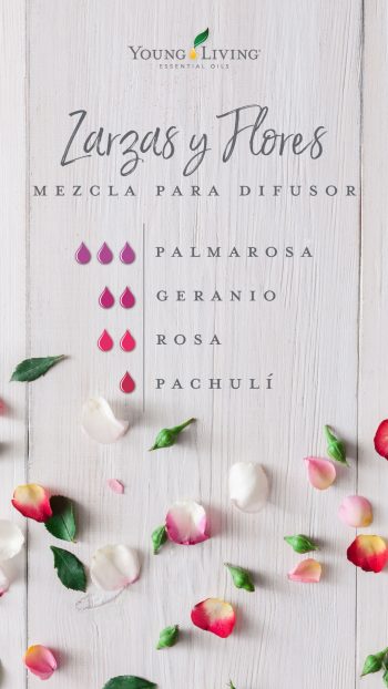 blog-Bring-the-outside-in-with-garden-diffuser-blends_Briars-and-Blooms-Diffuser-Blend_USSP