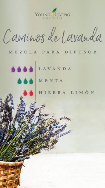 blog-Bring-the-outside-in-with-garden-diffuser-blends_Lavender-Lane-Diffuser-Blend_USSP