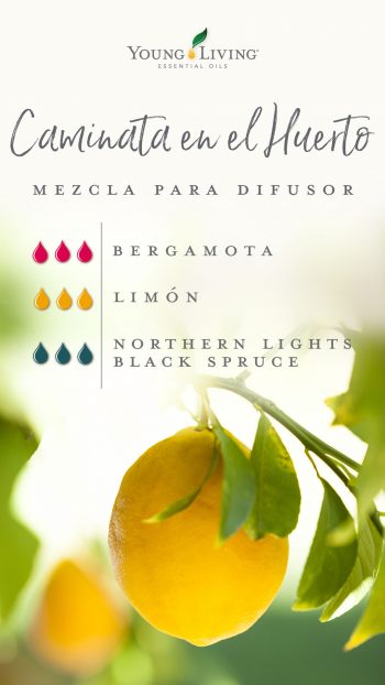 blog-Bring-the-outside-in-with-garden-diffuser-blends_Orchard-Walk-Diffuser-Blend_USSP