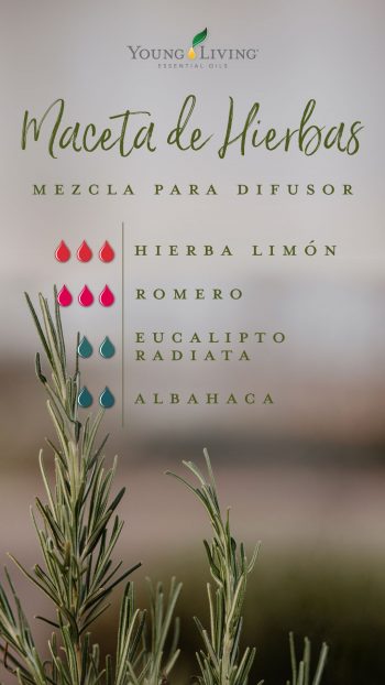 blog-Bring-the-outside-in-with-garden-diffuser-blends_Pot-of-Herbs-Diffuser-Blend_USSP