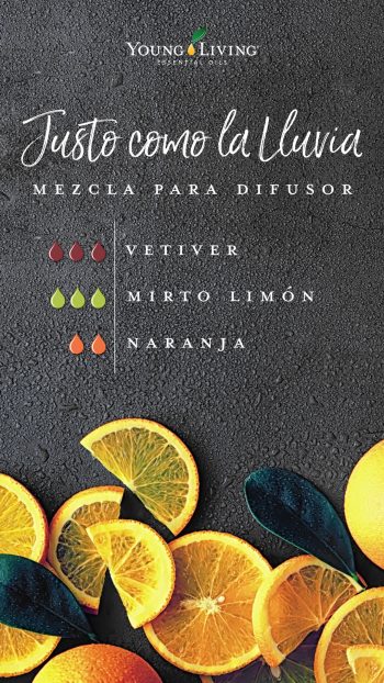 blog-Bring-the-outside-in-with-garden-diffuser-blends_Right-as-Rain-Diffuser-Blend_USSP