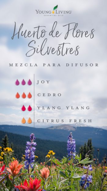 blog-Bring-the-outside-in-with-garden-diffuser-blends_Wildflower-Patch-Diffuser-Blend_USSP