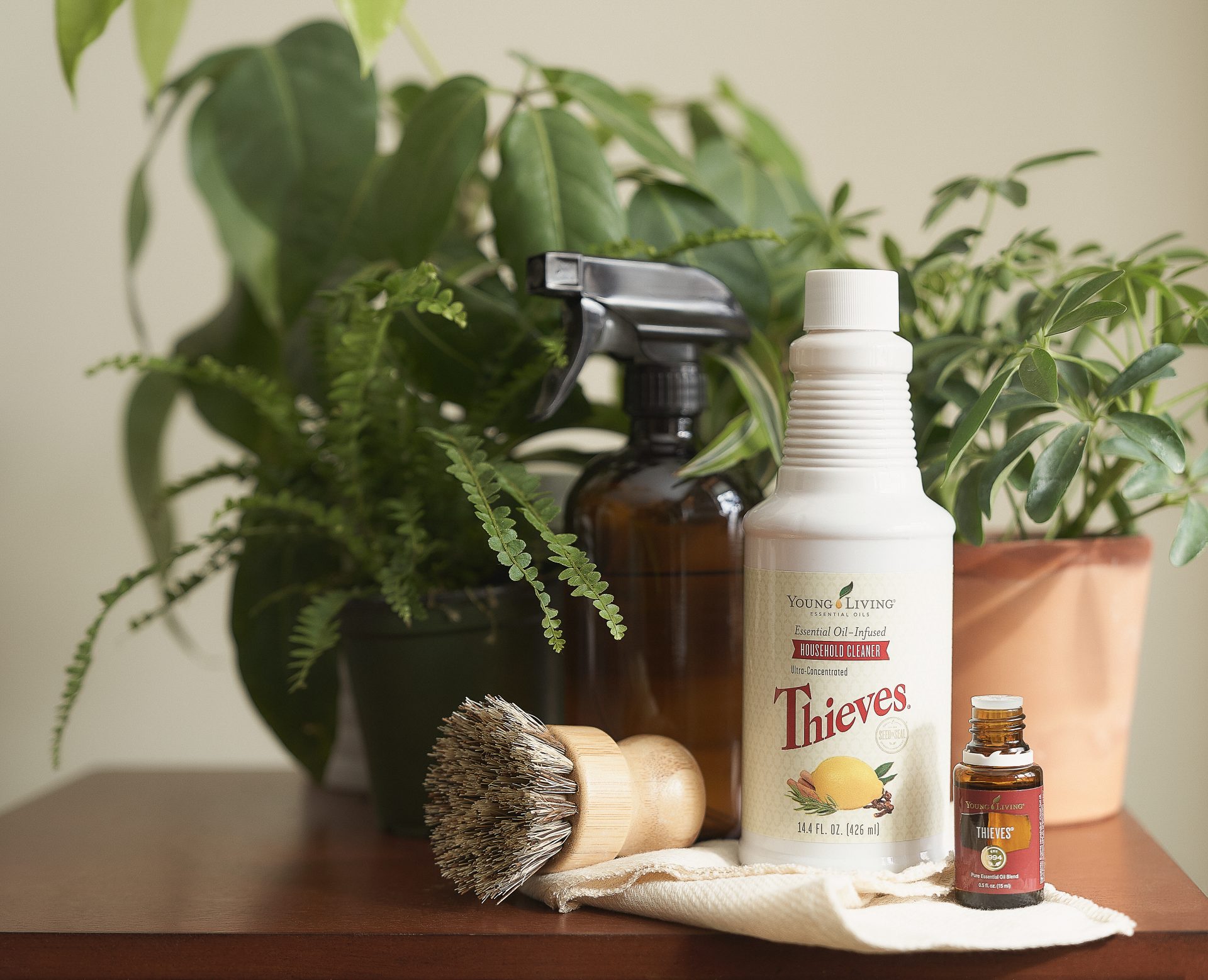 Spring cleaning Thieves cleaner and cleaning products