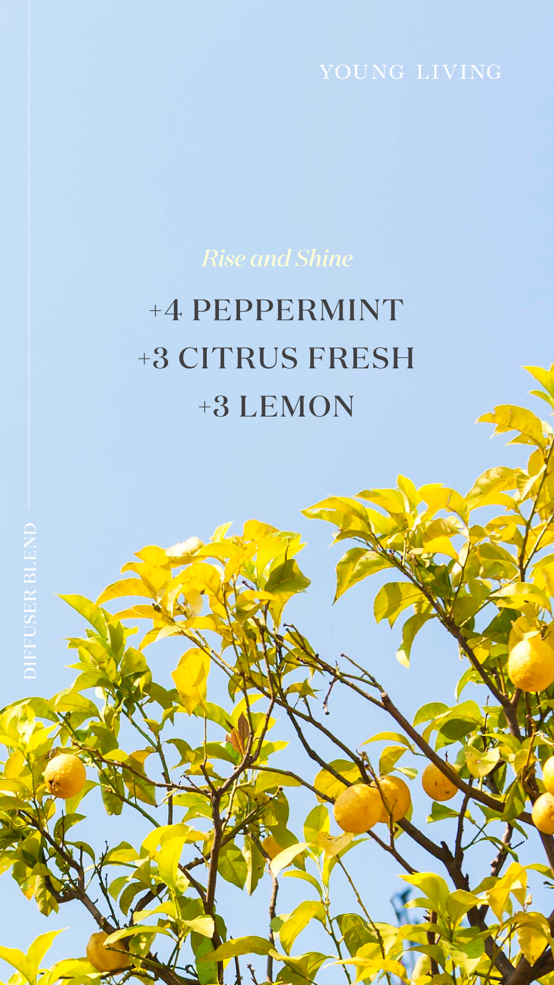 The-6-step-morning-routine-that-will-elevate-your-entire-day-Rise-and-Shine_April-2021_Diffuser-Blend-Micrographic_US Rise and Shine Diffuser blend