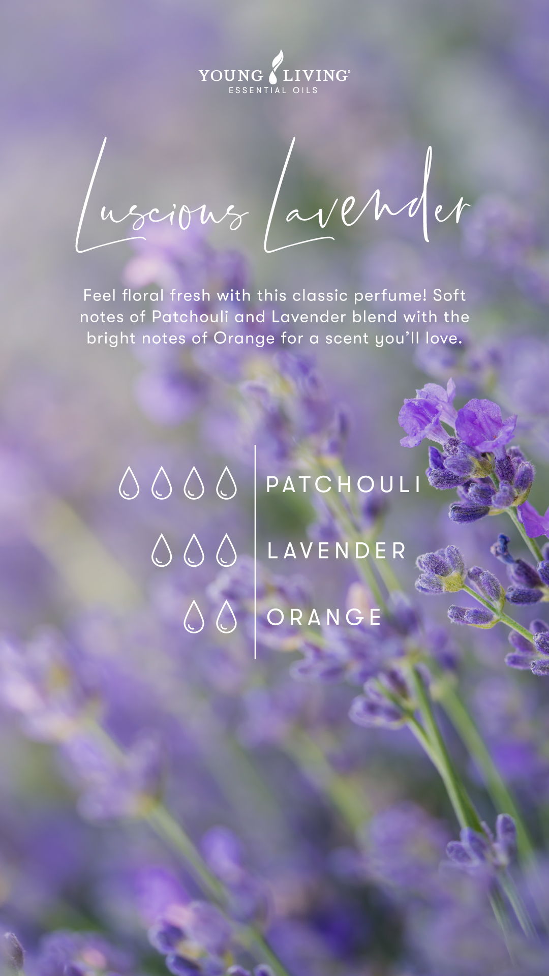 The Ultimate Guide to Making Essential Oil Perfume Blends – woopDIY