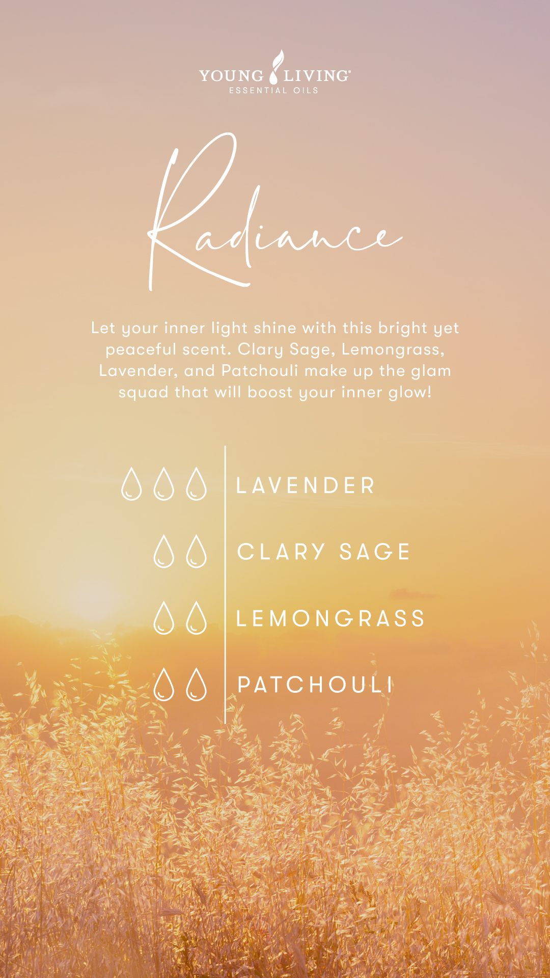 The Ultimate Guide to Making Essential Oil Perfume Blends – woopDIY