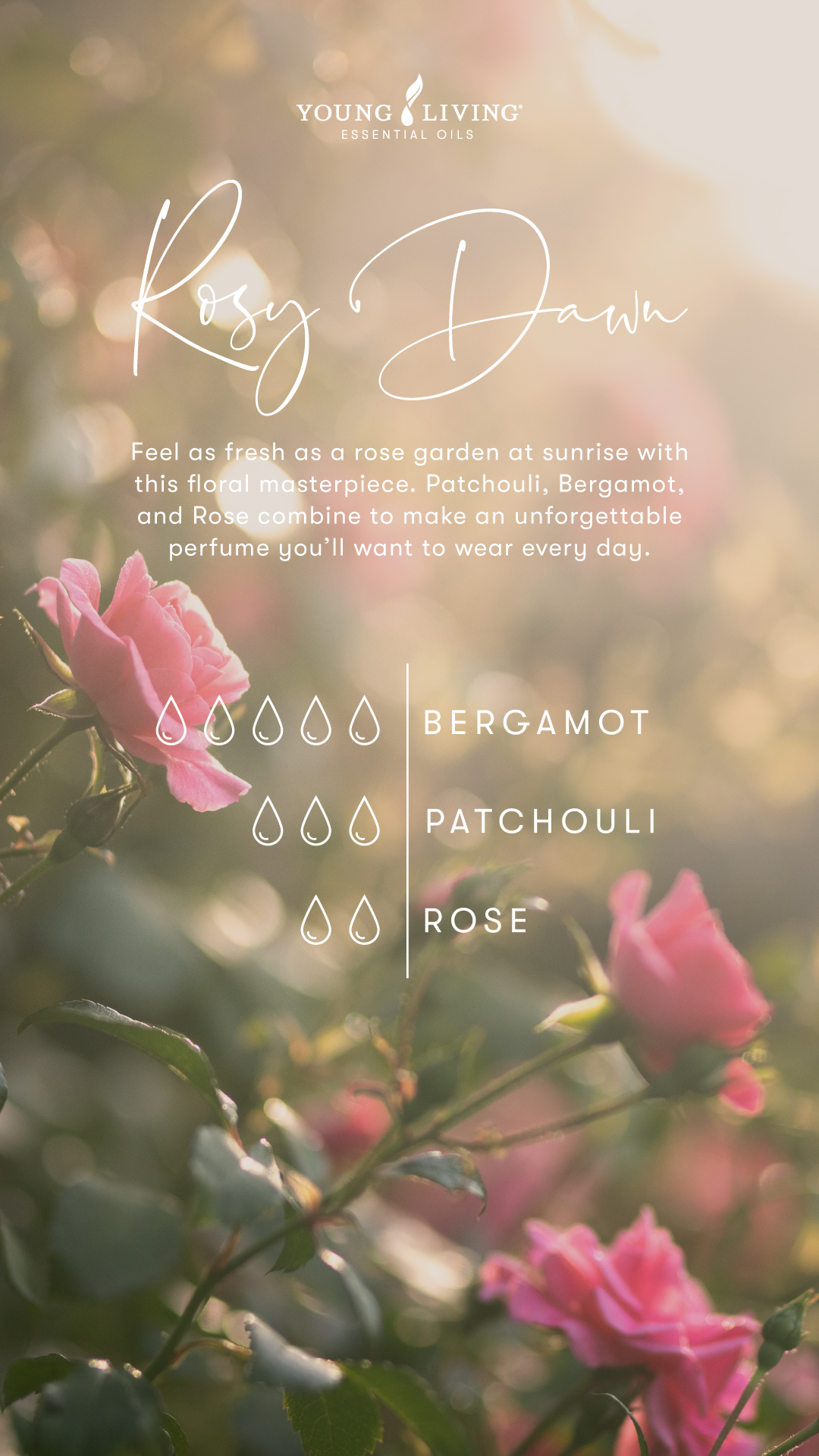 Rosy Dawn Perfume recipe LMC3608