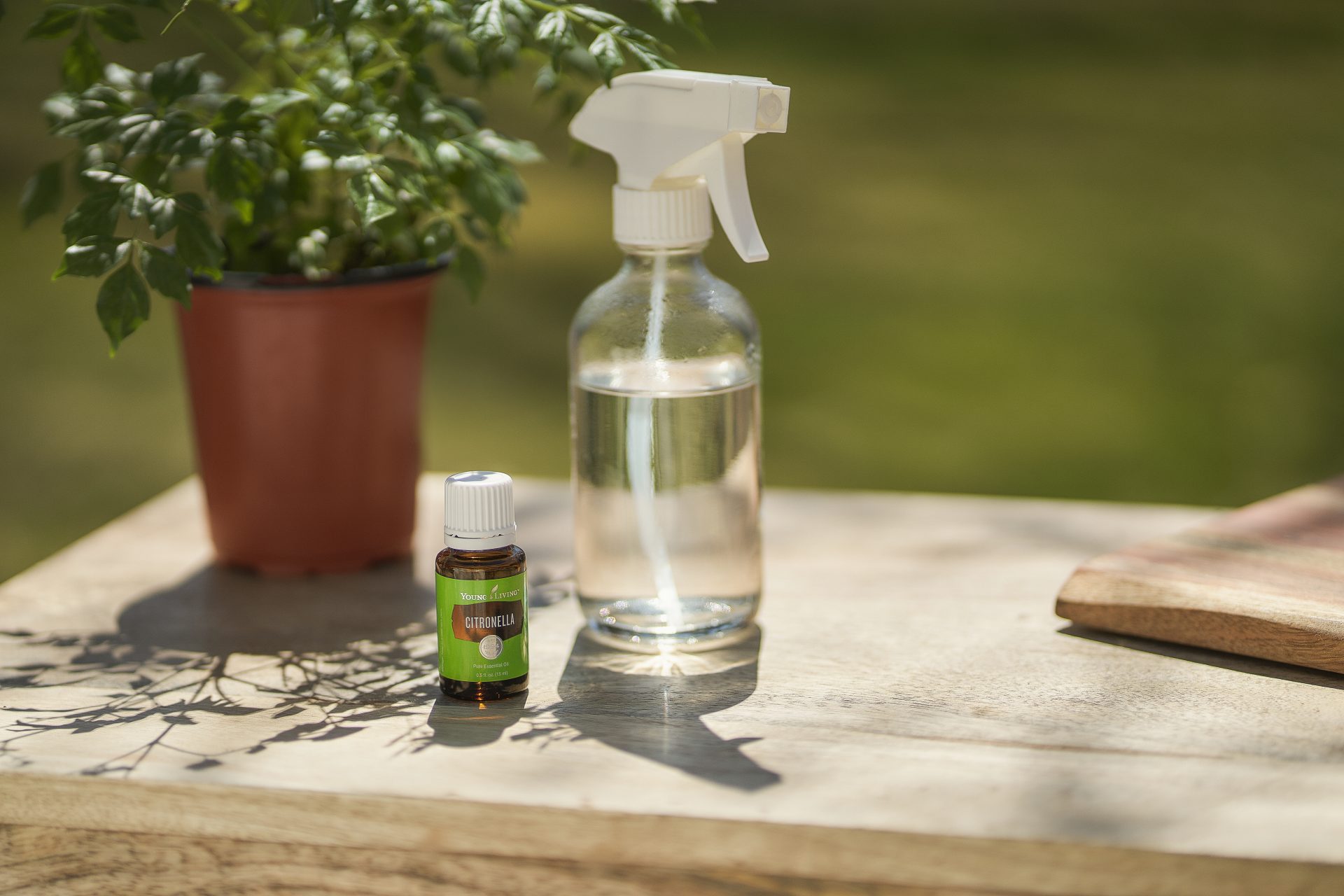 2021 April Blog Citronella Citronella essential oil outside by spray bottle