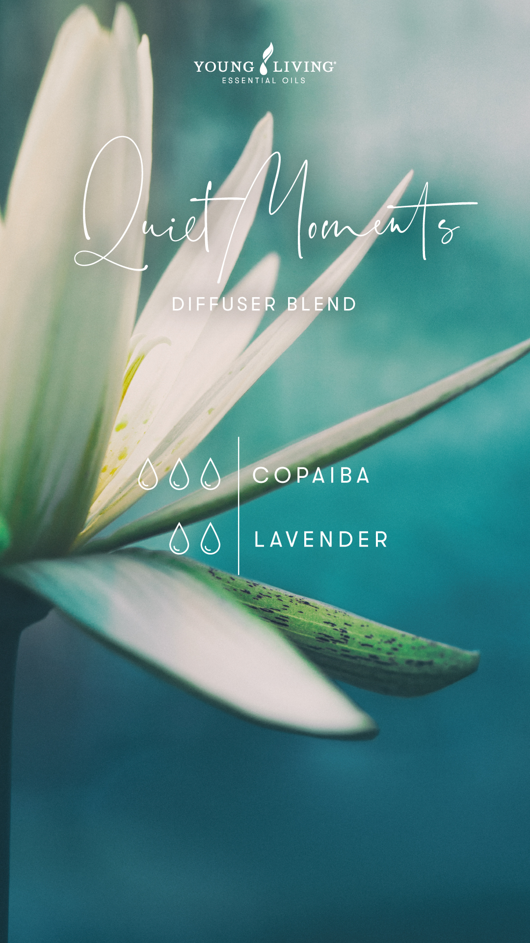 Quiet Moments Diffuser Blend