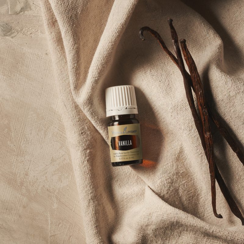 rainy-day-survival-guide-fun-filled-activities-for-kids-young-living