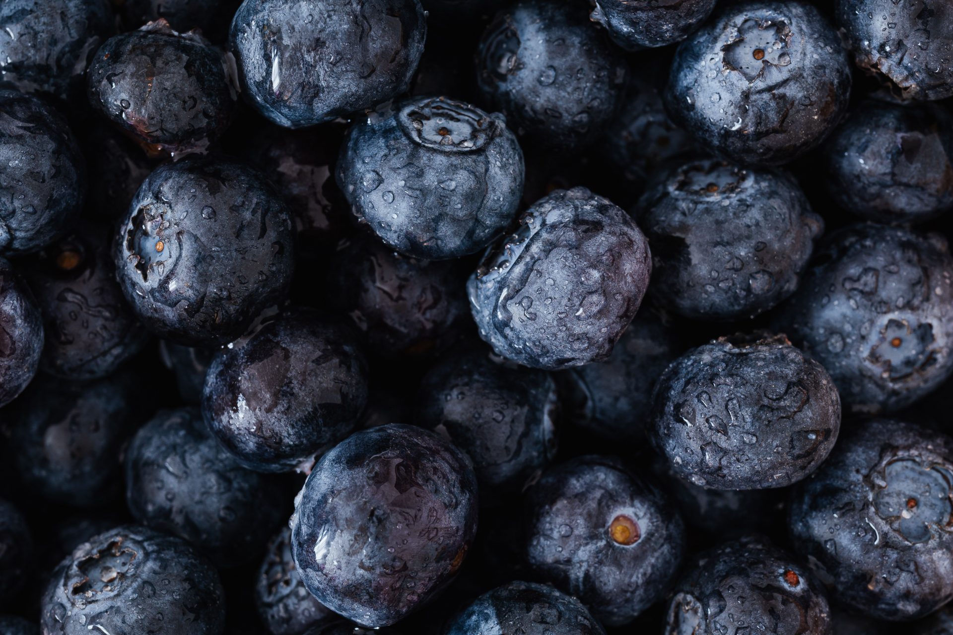 pexels-karolina-grabowska-4022101 Blueberries - Young Living Lavender Life Blog