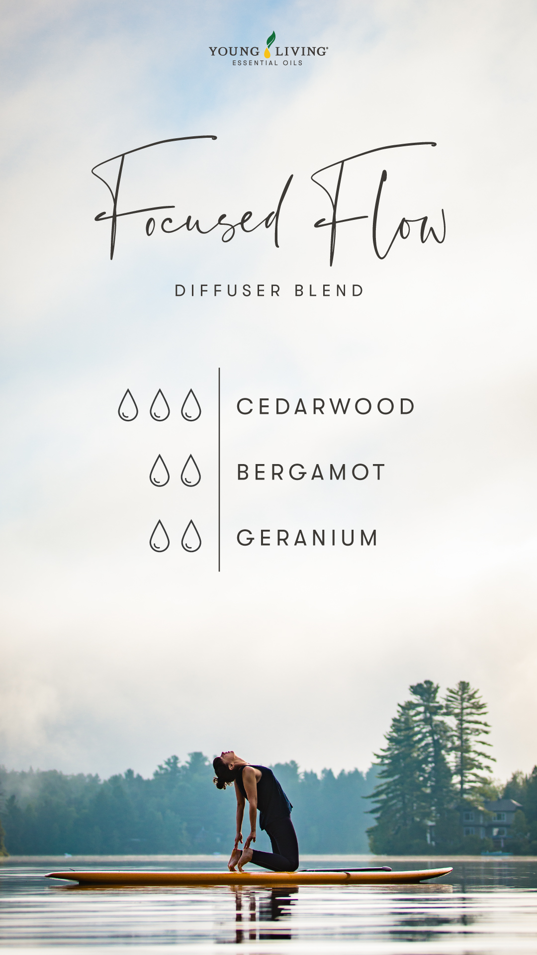 blog_Breathe-in-relaxation-6-diffuser-blends-for-yoga_Focused-Flow_US Focused Flow Diffuser Blend - 3 drops Cedarwood, 2 drops Bergamot, 2 drops Geranium